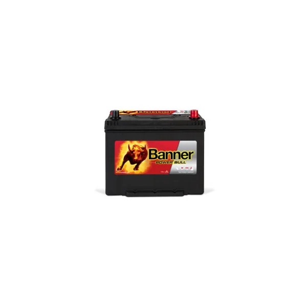 Banner Power Bull P8009 12v 80AH 640A