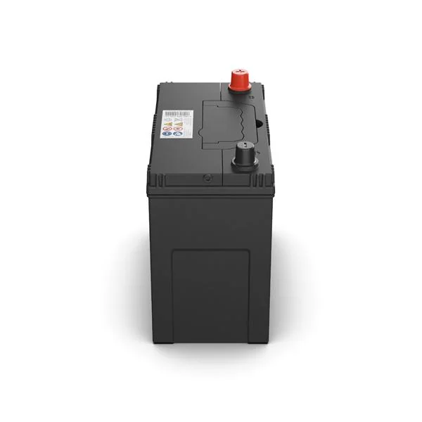 Bosch PP021 - Batterie auto - 45A/H 330A - technologie plomb-acide - Pour véhicules sans système Start&Stop