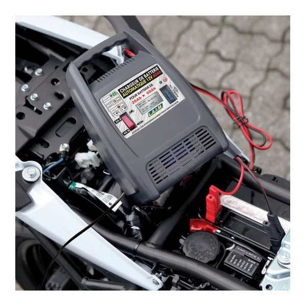 Chargeur batterie 12V 60Ah automatique pour batteries de 20 à 60Ah