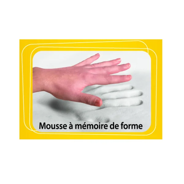 Coussin Cale dos