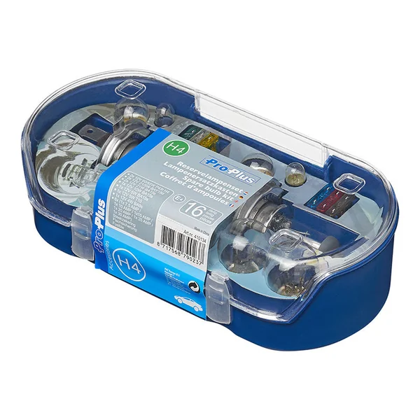 Jeu d'ampoules de rechange H4 (16 pièces)