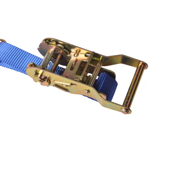Lot de 2 sangles d'arrimage - 500x2,5 cm - bleu - charge de rupture 1500 kg
