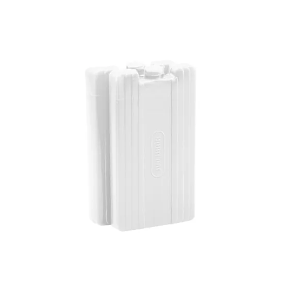 Pains de glace. 2 blocs de 440 grammes