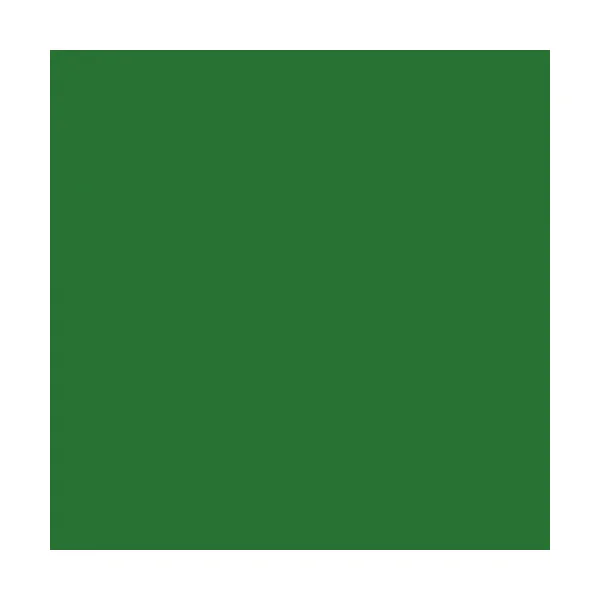 Peinture Alkyde 1L - Holder - RAL / teinte: Vert 60 - Entre 1960 et 1979