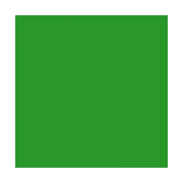 Peinture Alkyde 1L - Holder - RAL / teinte: Vert 79 - A partir de 1979