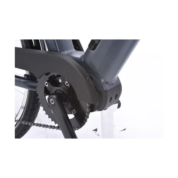 Vélo à assistance électrique Perfect 12,8 Ah
